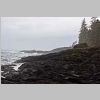 2017_06_08_1940_Port_Renfrew-Botanical_Loop_Trail_IMG_0895_72dpi.jpg